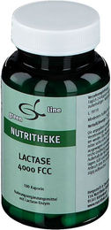 11 A Nutritheke Lactase 4000 FCC Kapseln 100 Stück – Bild 1 von 2