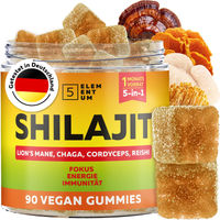 Produktbild von 5Elementum Natural Shilajit Gummibärchen 2200mg mit Löwenmähne, Reishi, Chaga und Cordyceps, 90 Stück, ohne Zusatzstoffe