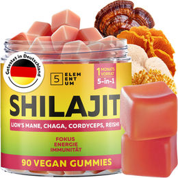 5Elementum Shilajit Gummies 2200 mg mit Löwenmähne, Reishi, Chaga und Cordyceps, Mumijo aus dem Himalaja, Wassermelone, 90 Stück – Bild 1 von 4