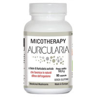 Produktbild von A.V.D. Reform MICOTHERAPIE Auricularia Bio Glutenfrei 90 Kapseln