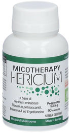 A.V.D. Reform Micotherapie Hericium Bio Kapseln glutenfrei 90 Stück – Bild 1 von 1
