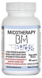 A.V.D. Reform MICOTHERAPY BM Kombipräparat vegan 60 Kapseln – Bild 1 von 1
