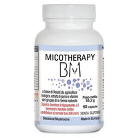 Produktbild von A.V.D. Reform MICOTHERAPY BM Kombipräparat vegan 60 Kapseln