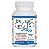 Produktbild von A.V.D. Reform Mycotherapy Gastro Vegan Bio Glutenfrei 90 Kapseln