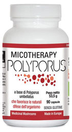 A.V.D. Reform Mycotherapy Polyporus Vegan Bio Glutenfrei 90 Kapseln – Bild 1 von 1