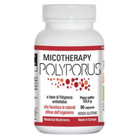 Produktbild von A.V.D. Reform Mycotherapy Polyporus Vegan Bio Glutenfrei 90 Kapseln