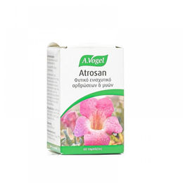 A.Vogel Atrosan Tabletten mit Arpagophyto glutenfrei 60 Tabletten – Bild 1 von 1