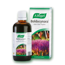 A.Vogel Boldocynara Verdauungsverstärker Tinktur mit Artischocke, Meerrettich und Boldo, 50 ml – Bild 1 von 1
