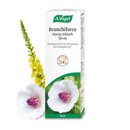 A.Vogel Bronchiforce Honig-Eibisch Spray 30 ml mit Königskerzen-Extrakt, Eibischwurzel-Extrakt und Bienenhonig, natürlich, glutenfrei und laktosefrei – Bild 1 von 2