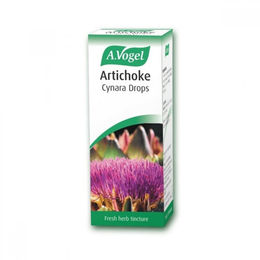 A.Vogel Cynara Artischocke Tinktur Tropfen 50 ml glutenfrei und laktosefrei – Bild 1 von 1