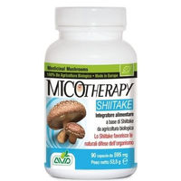 Produktbild von A.Vogel Micotherapie Shiitake Bio Vegan Glutenfrei 90 Kapseln