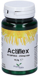 ACTIFLEX Phytoitalia Boswellia Weihrauch Kapseln 60 Stück – Bild 1 von 1