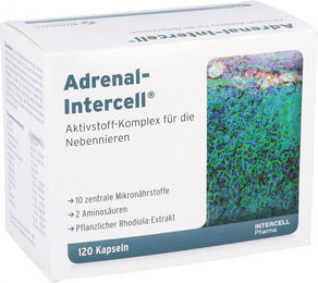 Adrenal-intercell Anti-Stress-Komplex mit B-Komplex vegane Kapseln 120 Stück – Bild 1 von 1