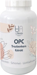 AGE ATTRACTION OPC Traubenkern-Extrakt Kapseln 180 Stück – Bild 1 von 1