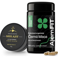 Produktbild von AjemFIT Kräuter-Komplex Bio Kapseln ohne Zusatzstoffe