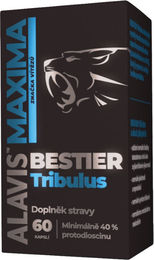 Alavis Maxima Bestier Tribulus mit Zink, Tribulus Terrestris Extrakt, 60 Kapseln – Bild 1 von 3