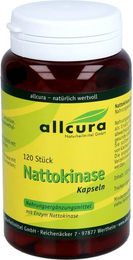Allcura Nattokinase Kapseln – Bild 1 von 2