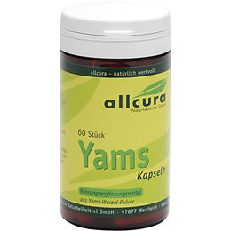 Allcura Yams Kapseln 250 mg 60 Stück – Bild 1 von 1