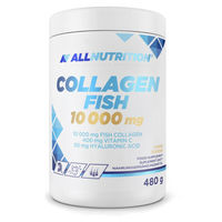 Produktbild von Allnutrition Collagen Fish Pulver Mango 10000 mg 480 g