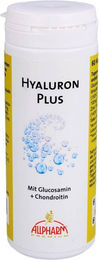 Allpharm Glucosamin Chondroitin Hyaluron Plus Kapseln 60 Stück – Bild 1 von 1