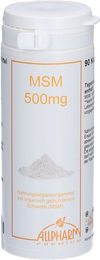 ALLPHARM MSM 500 mg Kapseln vegan – Bild 1 von 1