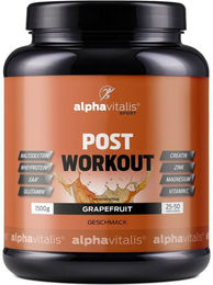 Alphavitalis Post Workout Shake Pulver – Bild 1 von 4