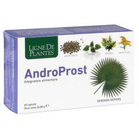 Produktbild von ANDROPROST Kräuter-Komplex von Natura Service, 60 Kapseln