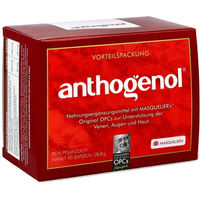 Produktbild von Anthogenol Masqueliers Original OPCs Kapseln vegan 90 Stück