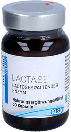 APOZEN Laktase Kapseln 60 Stück – Bild 1 von 2