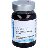 Produktbild von APOZEN Laktase Kapseln 60 Stück