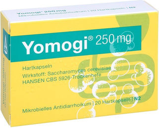 Ardeypharm Yomogi 250 mg Kapseln – Bild 1 von 1