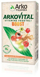 Arkopharma ARKOVITAL BOOST Tabletten 24 Stück – Bild 1 von 1