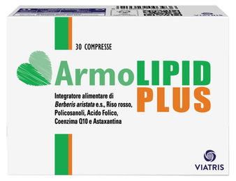 Armolipid Plus Tabletten 30 Stück – Bild 1 von 1