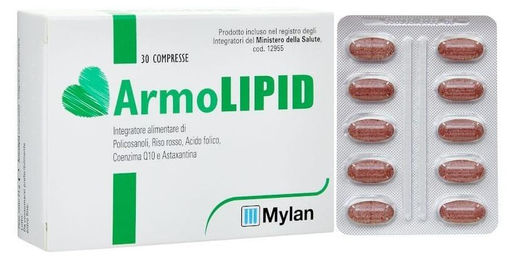 Armolipid Tabletten glutenfrei 30 Stück – Bild 1 von 1