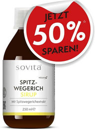 Ascopharm sovita Spitzwegerich Sirup mit Pfefferminzöl vegan 250 ml – Bild 1 von 4