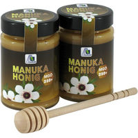 Produktbild von Avitale Manukahonig MGO 250+ aus Neuseeland flüssig