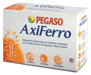 AXIFERRO Dr. Willmar Schwabe Tabletten vegetarisch glutenfrei zuckerfrei 100 Stück – Bild 1 von 1
