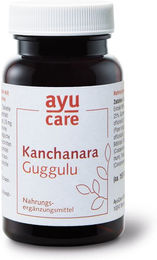 AyuCare Kanchanara Guggulu Tabletten – Bild 1 von 2