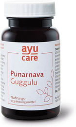 AyuCare Punarnava Guggulu Tabletten 1000 mg – Bild 1 von 2