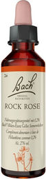 Bach Bachblüten Rock Rose Tropfen 20 ml – Bild 1 von 3
