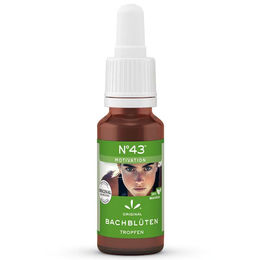 Bach Motivation Bachblüten Tropfen 20 ml vegan und bio – Bild 1 von 1