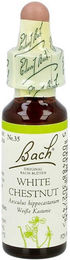 Bach Original 35 White Chestnut Tropfen vegan – Bild 1 von 3