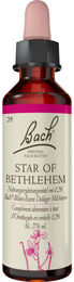 Bach Original Bach-Blüten Star of Bethlehem Tropfen Doldiger Milchstern alkoholfrei 20 ml – Bild 1 von 3