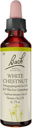 Bach White Chestnut Weiße Kastanie Bachblüten Tropfen 20 ml – Bild 1 von 3