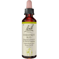 Produktbild von Bachblüten Chestnut Bud Tropfen 20 ml