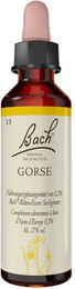 Bachblüten Gorse Tropfen 20 ml – Bild 1 von 2