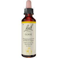 Produktbild von Bachblüten Gorse Tropfen 20 ml