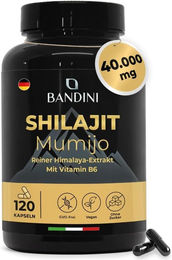 Bandini Mumijo Shilajit Kapseln vegan ohne Zusatzstoffe 120 Stück – Bild 1 von 2