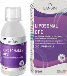 Bandini Pharma OPC Liposomal Traubenkernextrakt Flüssig Vegan ohne Zusatzstoffe – Bild 1 von 2