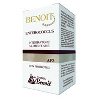 Produktbild von BENOIT Enterococcus Kapseln ohne Gelatine 30 Stück